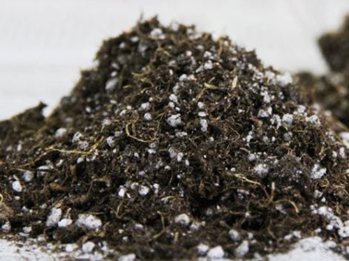 山東陳晨生物科技有限公司專業(yè)營(yíng)養(yǎng)土生產(chǎn)廠家